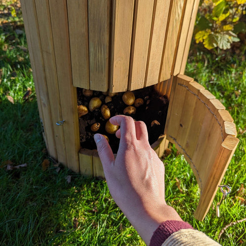 murodec 66 Litre Wooden Potato Planter Barrel – Swing Door Harvest Access